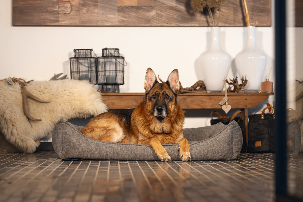 Beeztees Memory Foam Zia - Hondenmand - Grijs - extra large