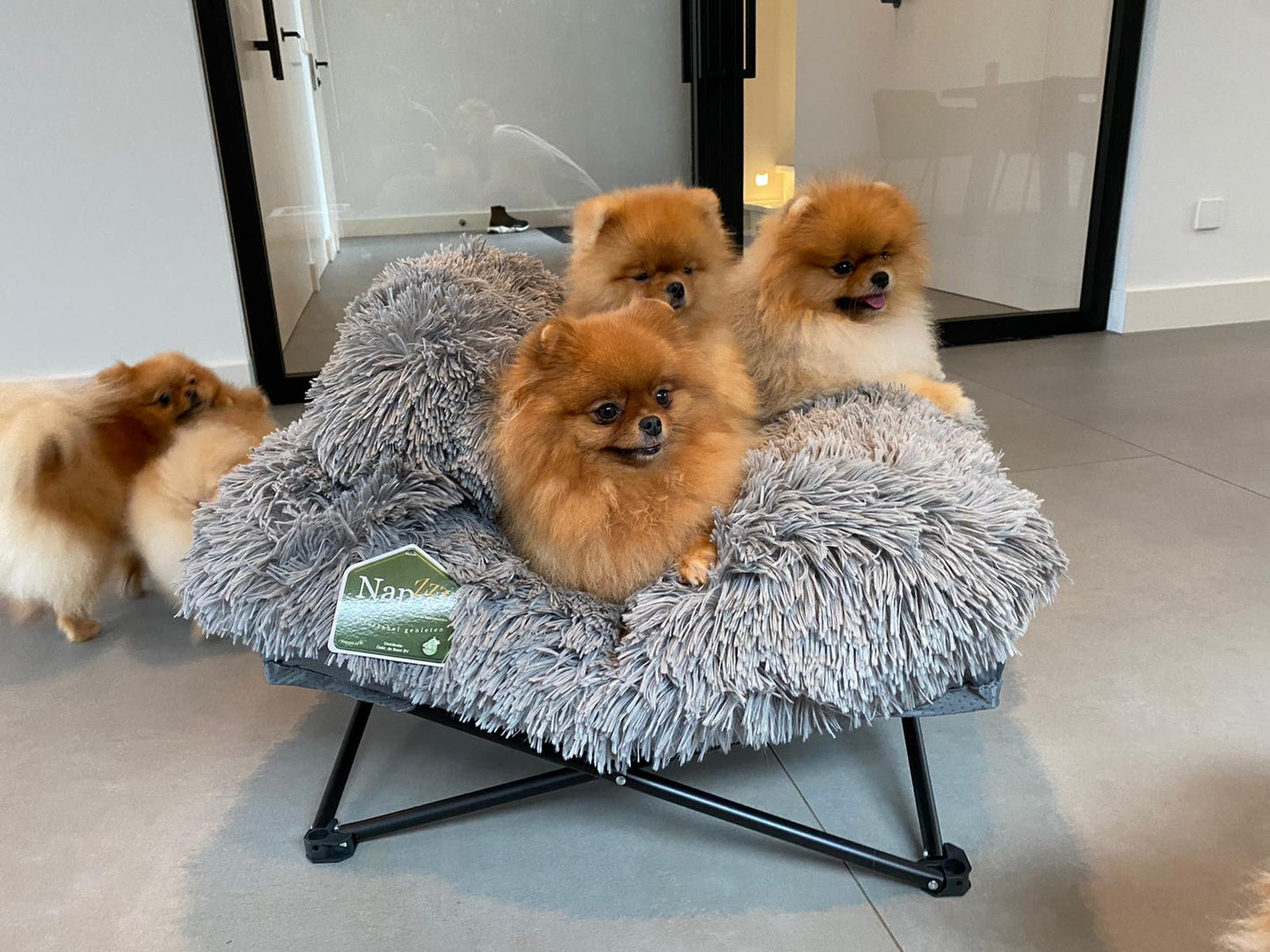 De King Fuzzle Donut is een superleuke pluche bed voor je hondje of kat. De mand is stevig gevuld met fiberfill en ligt daarom zeer comfortabel. De King Fuzzle Donut van het merk Napzzz komt met een zwart metalen frame voor het fluffy ronde donutmand.