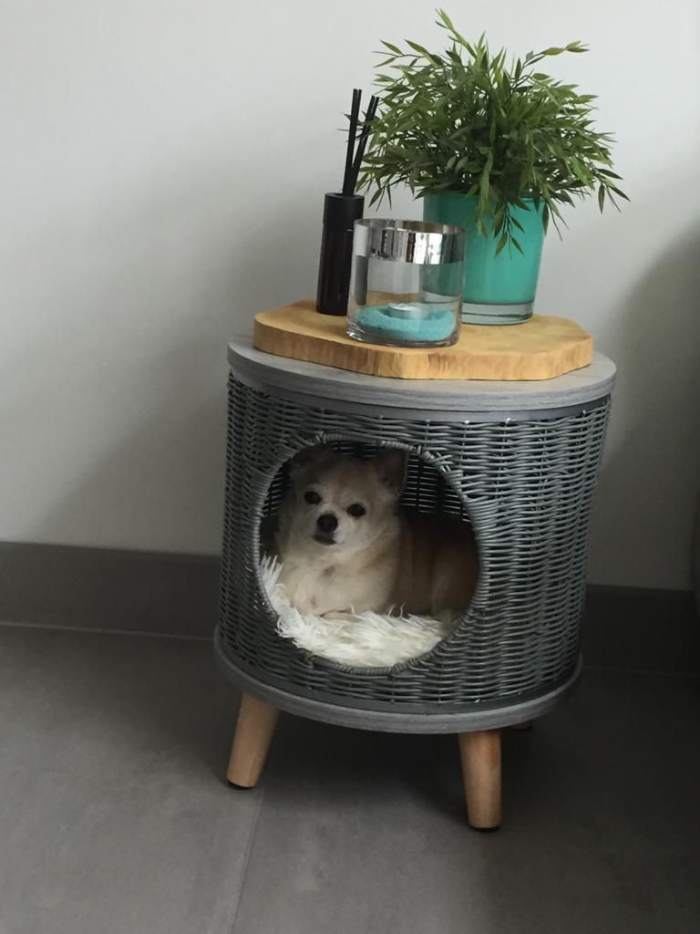 Is deze ronde en heerlijk knusse hocker voor je kat, kitten, pup of kleine hond niet geweldig? Gemaakt van stevig gevlochten rotan/riet en stevig hout. De hocker staat op 4 stevige houten pootjes, zodat je Furry Friend niet op koude vloer of op de tocht ligt, ook een handig meubel als je niet al te veel ruimte meer hebt in huis. De hocker kan ook nog eens gebruikt worden als bijzet tafeltje!