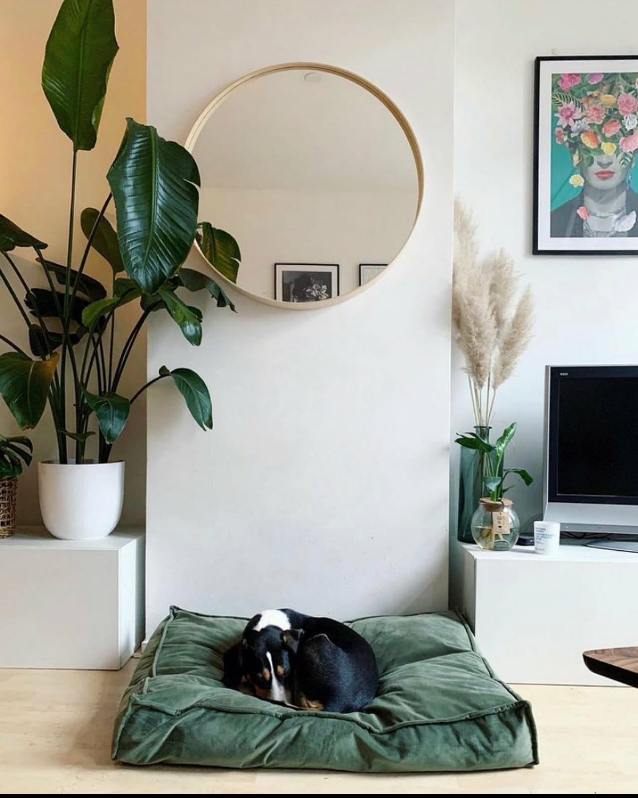 Op zoek naar een heerlijk zachte slaapplek voor jouw hond? Dan is dit het perfecte kussen voor jou! Het Designed by Lotte Nalino Ligkussen is uitgevoerd in de trendy stof fluweel, wat super zacht aanvoelt. De populaire fluwelen stof zorgt bovendien voor een chique detail in jouw interieur. Fluweel is een erg stevige stof en kan tegen een stootje.
