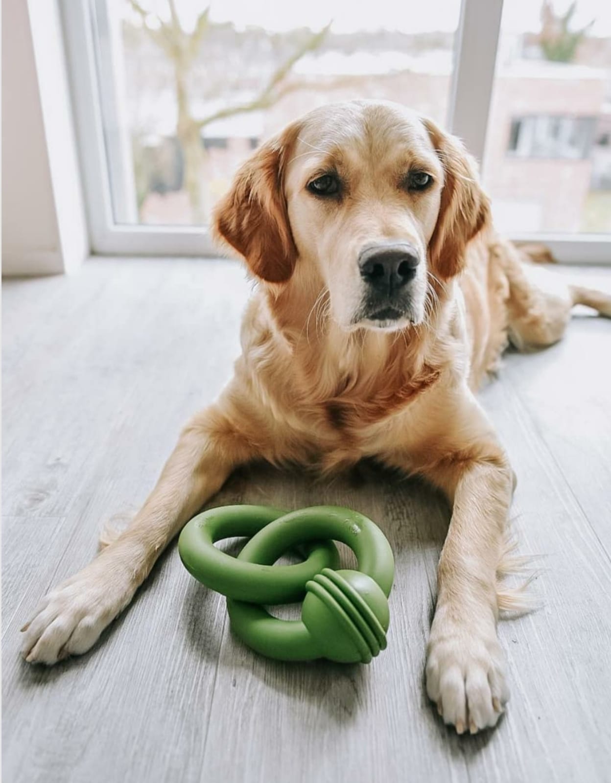 De Sumo Team van Beeztees is super sterk hondenspeelgoed gemaakt van natuurlijk rubber. Dit speeltje is speciaal bedoeld, om samen met jouw hond te kunnen spelen. Twee stevige rubberen ringen zijn met elkaar verbonden, zodat je een trekspelletje kunt spelen. Op deze manier ben je interactief bezig met jouw hond, wat zorgt voor wederzijds respect en vertrouwen en het stimuleert de samenwerking.