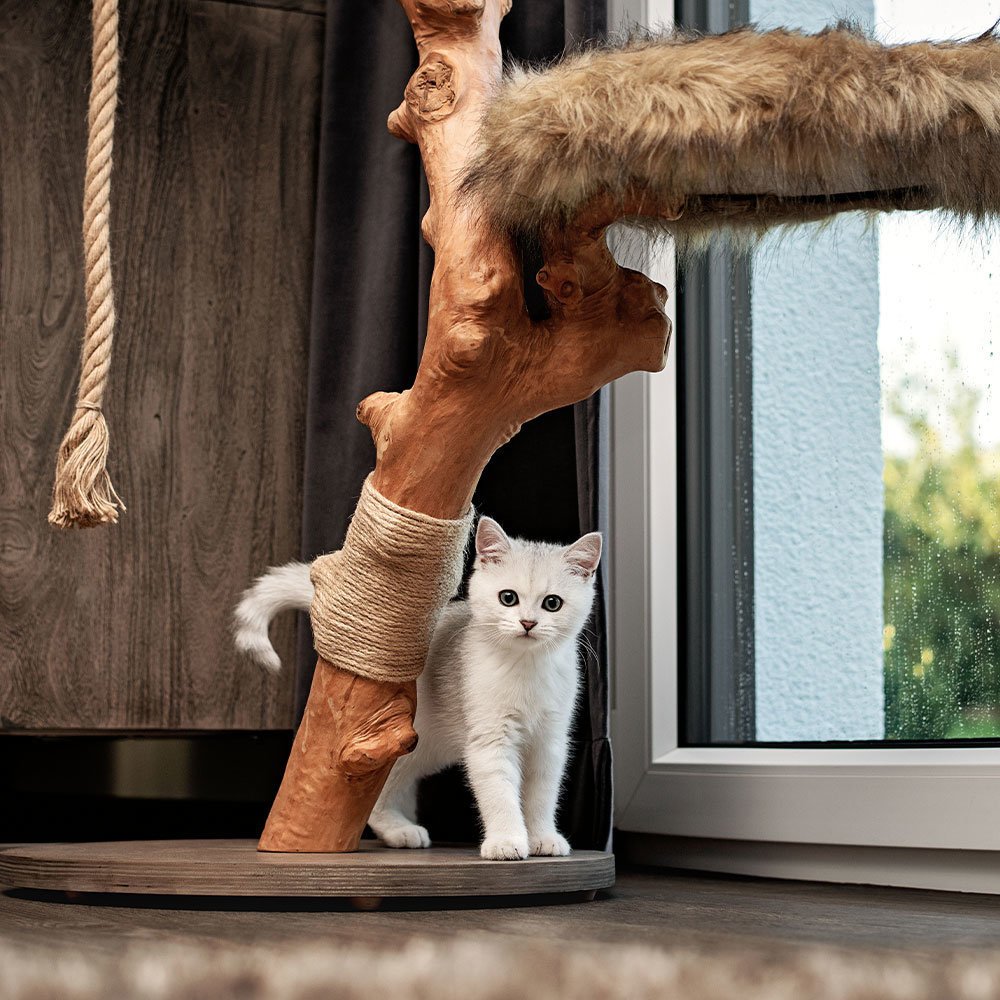 Elora Kattenmeubel