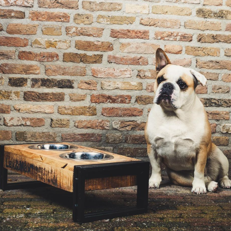 wooden-feeder-oslo-with-bowls small