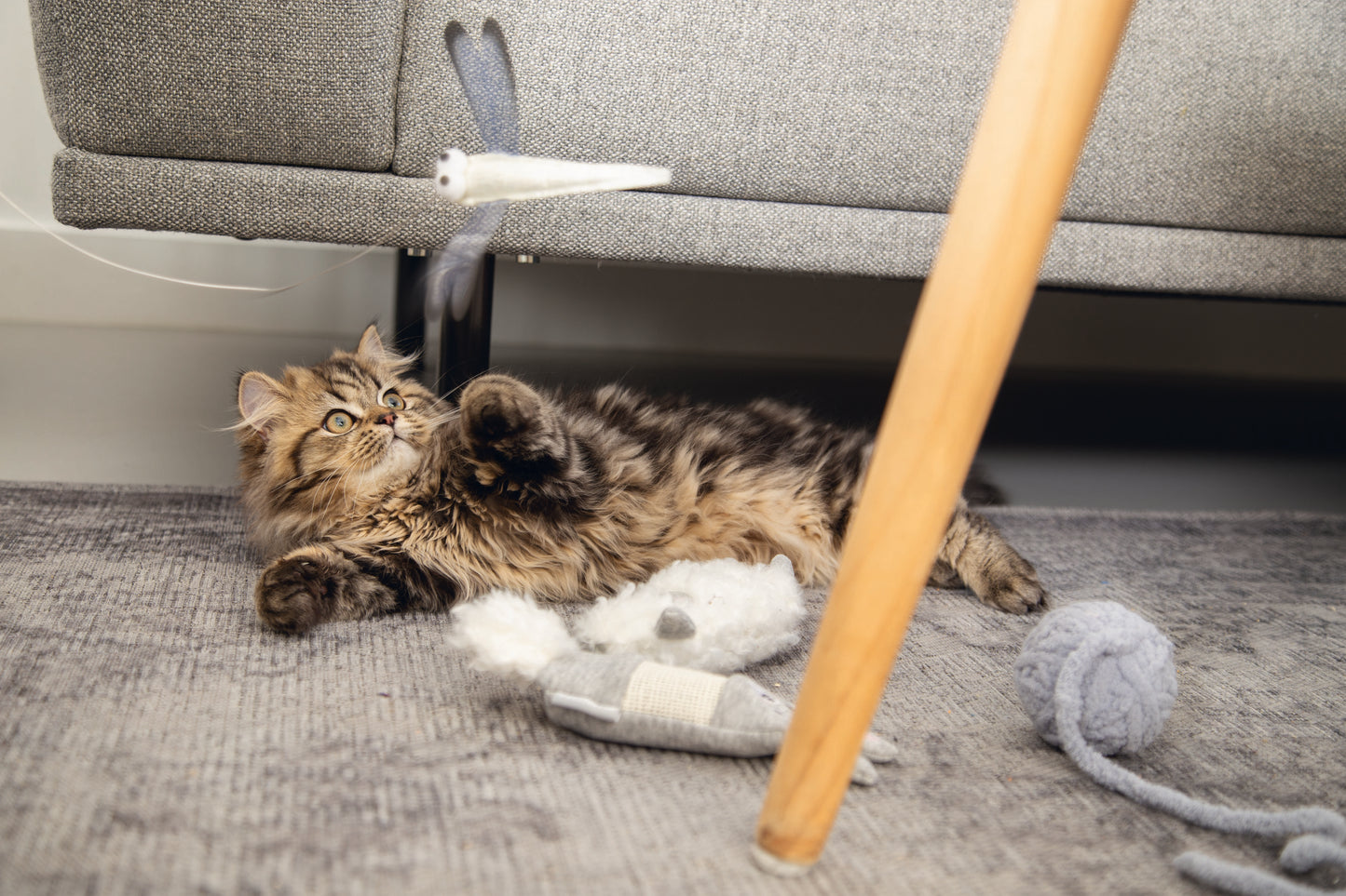 Als jouw kitten nog jong is, is het leuk om verschillende spelletjes en materialen uit te proberen om te experimenteren wat jouw kitten het leukste vindt. Het Beeztees Kitten Konijn is hier ideaal voor! Dit konijn bevat krinkelfolie, zodat jouw kitten kan wennen aan dit geluid/materiaal. Het leuke aan dit knuffeltje is, dat je het na een tijdje kunt vullen met catnip door de opening aan de achterkant. Hierdoor is dit speeltje ook nog leuk als jouw kitten is uitgegroeid tot een echte kat.
