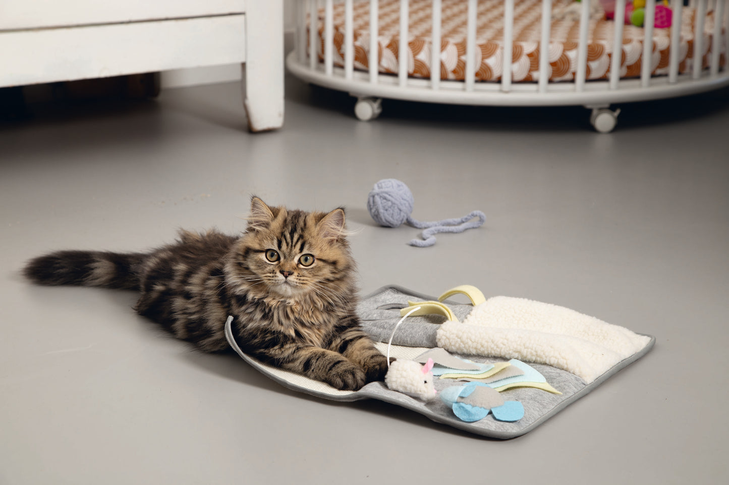 Snuffelmatten zijn al heel bekend bij honden, maar nu is er ook een speciale Beeztees Kitten Weezy Speelmat. Deze leuke speelmat bevat verschillende speelelementen en structuren, waardoor jouw kitten structuren en geluiden leert kennen. Er zijn vier verschillende vlakken.