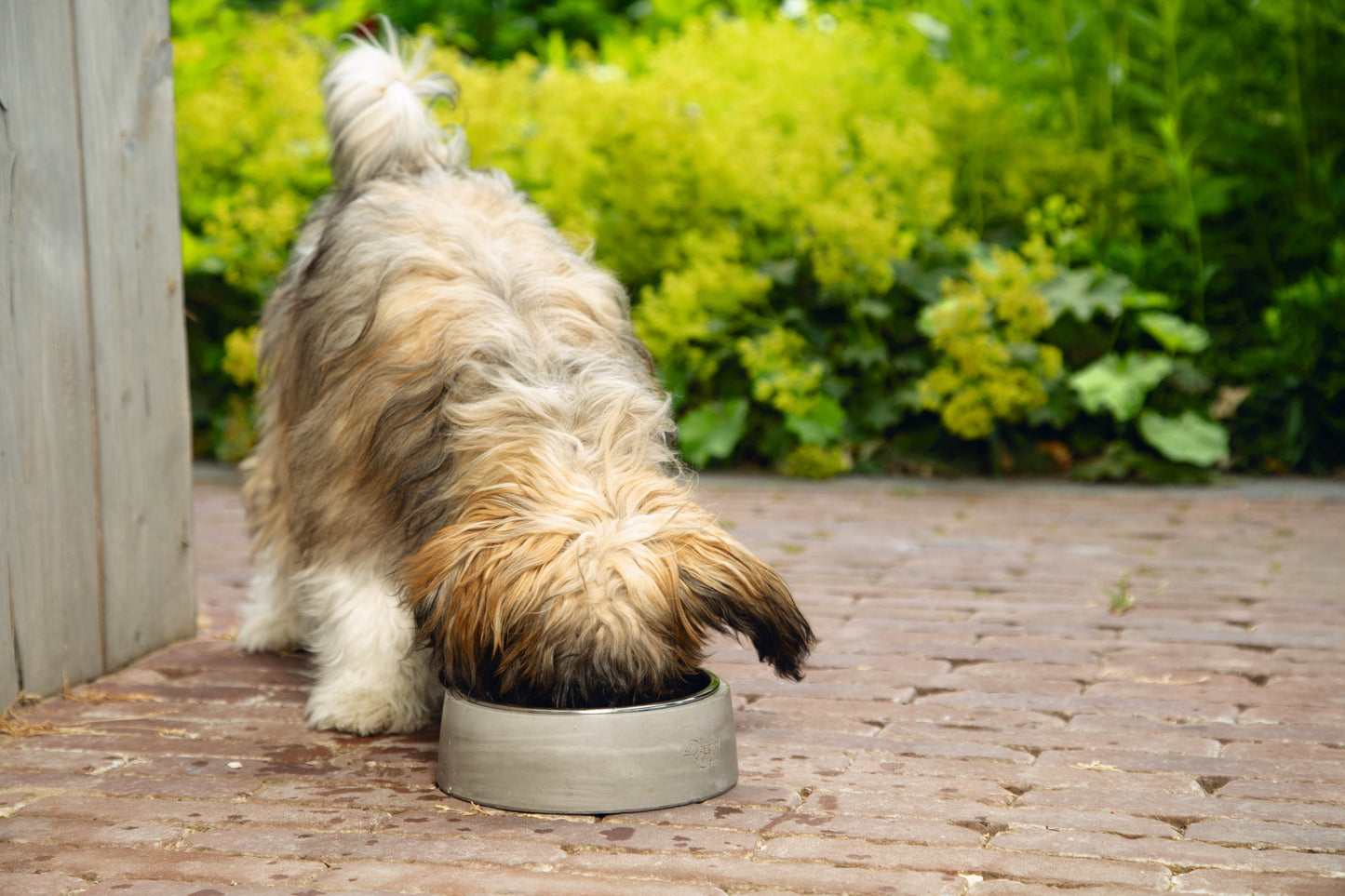 De Designed by Lotte Eetbak Riboco voor de hond, maar ook voor de kat, is een stoere voerbak gemaakt van echt beton. We zien beton steeds vaker terug in interieurs, bijvoorbeeld als vloer, muur of verwerkt in meubels. Deze eet- en drinkbak sluit perfect aan bij deze trend.