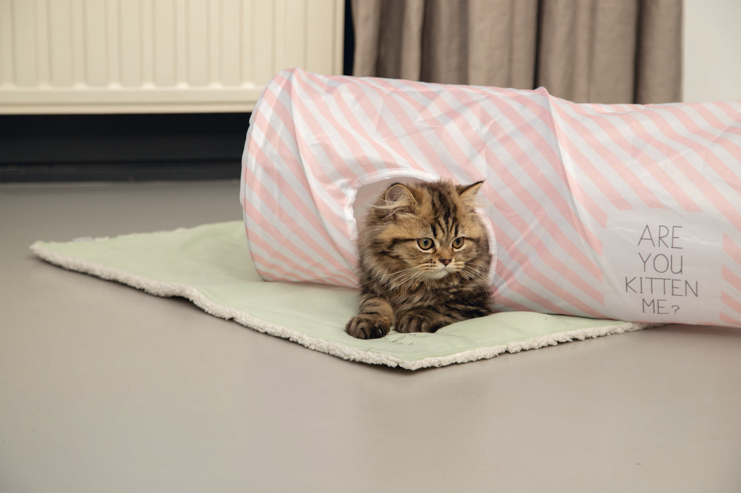 De Beeztees Kittentunnel kan worden gebruikt om er lekker in te spelen. Bovendien kan het knisperende geluid ervoor zorgen dat jouw kitten nog actiever wordt. Tunnels kunnen worden gemaakt van verschillende materialen, zodat er altijd een goede tunnel voor jouw kitten bij is. Deze tunnel is voorzien van een leuk motief en een leuke tekst, zodat het er ook nog eens heel gezellig uitziet in huis.