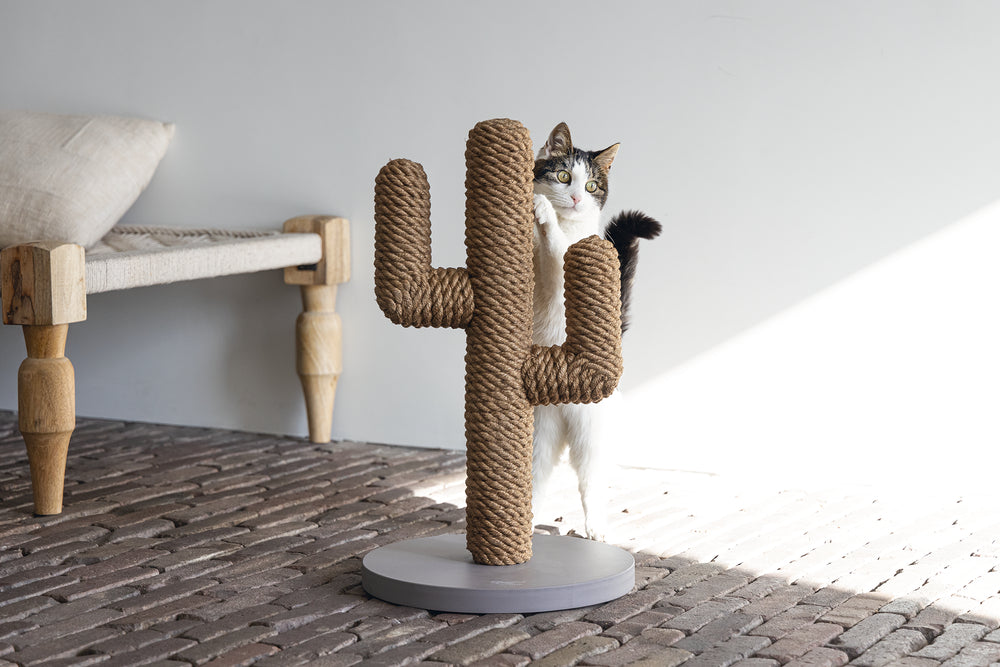 Cactus krabpaal taupe kleur 60 cm hoog van designed by lotte