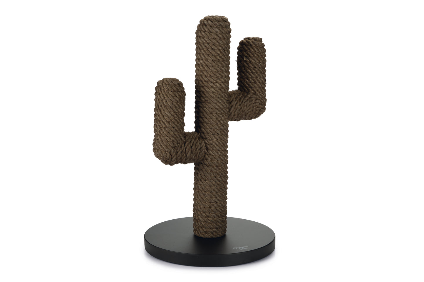 Cactus krabpaal zwart kleur 60 cm hoog van designed by lotte