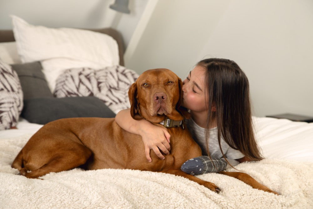 Ligt jouw huisdier graag op de bank, op schoot of in bed? Dan is het Designed by Lotte Wush hondendeken iets voor jou. Met dit zachte en mooi afgewerkte plaid, zorg je er namelijk voor dat je meubels vrij blijven van haren. Bovendien zorgt het ook voor extra comfort voor jouw trouwe viervoeter. Natuurlijk kun je het kleed ook zelf gebruiken!