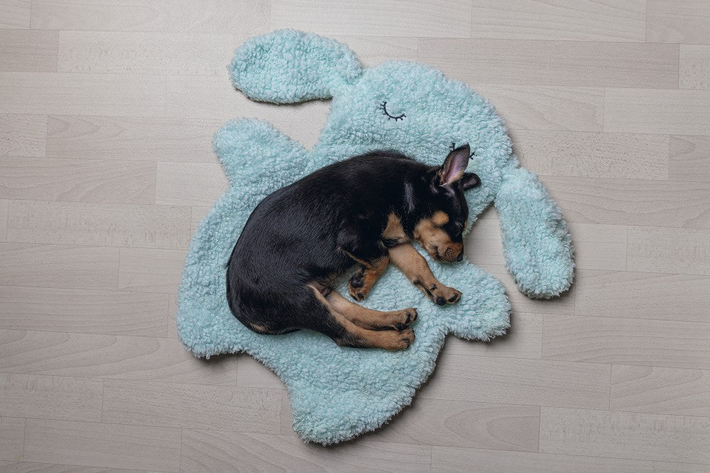 Beeztees Puppy Pimba - Hondenkussen - Blauw - 60x56x5 cm