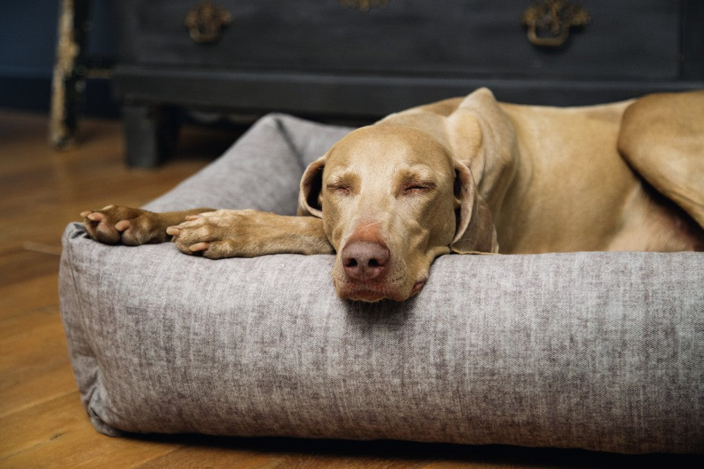 hondenmand unnay van designed by lotte premium kwaliteit stof stevig gevuld met vlokkenvulling verkrijgbaar in verschillende maten