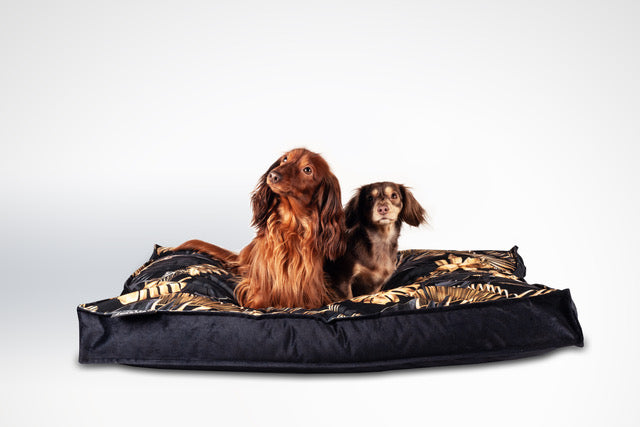 Het Lex en Max hondenkussen “Boxbed Dubai” is een stijlvol kussen voorzien van een luxueuze print. Laat uw hond als een echte sjeik uren lang zorgeloos wegdromen op dit schitterende exemplaar.