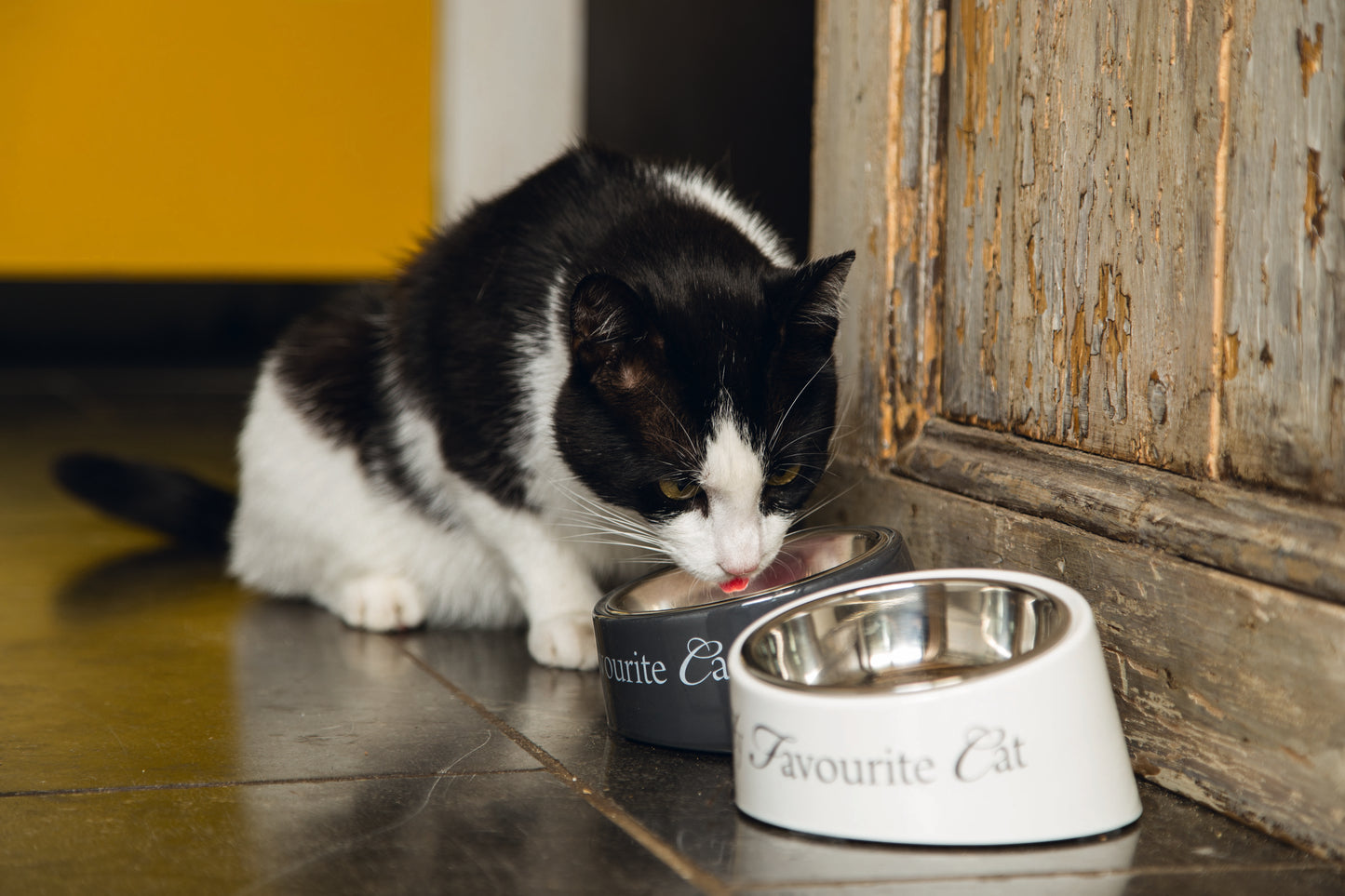 De Designed by Lotte My Favourite Cat Kattenvoerbak is een mooie melamine voerbak met een uitneembaar RVS bakje erin. Dit RVS bakje heeft een rubberen rand om geluid en schuiven tegen te gaan. De voerbak is aan de achterkant net iets hoger dan aan de voorkant, om de voerbak net wat stijlvoller te maken. De gehele voerbak is vaatwasbestendig.